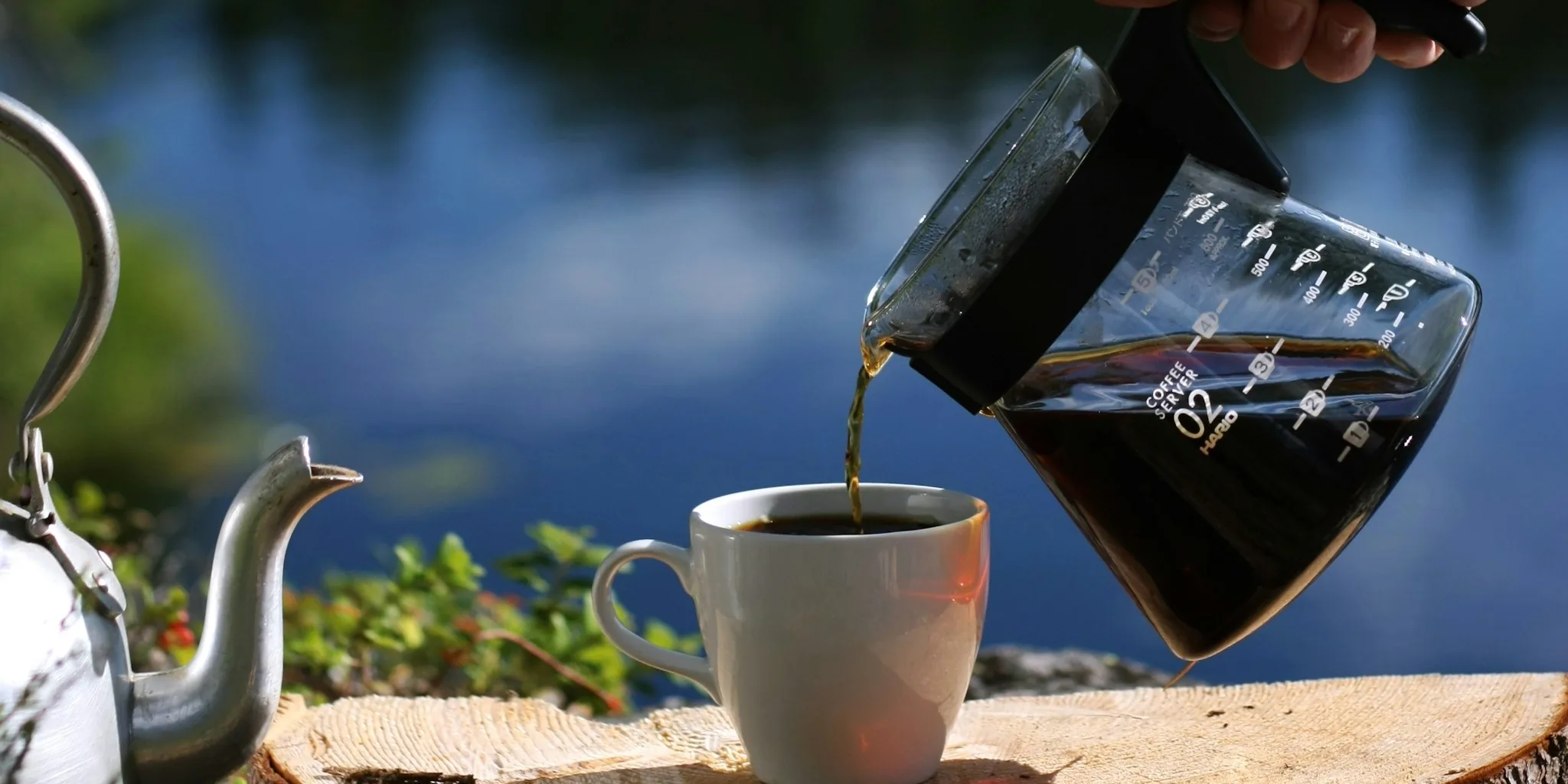 The 9 Best Organic Coffees