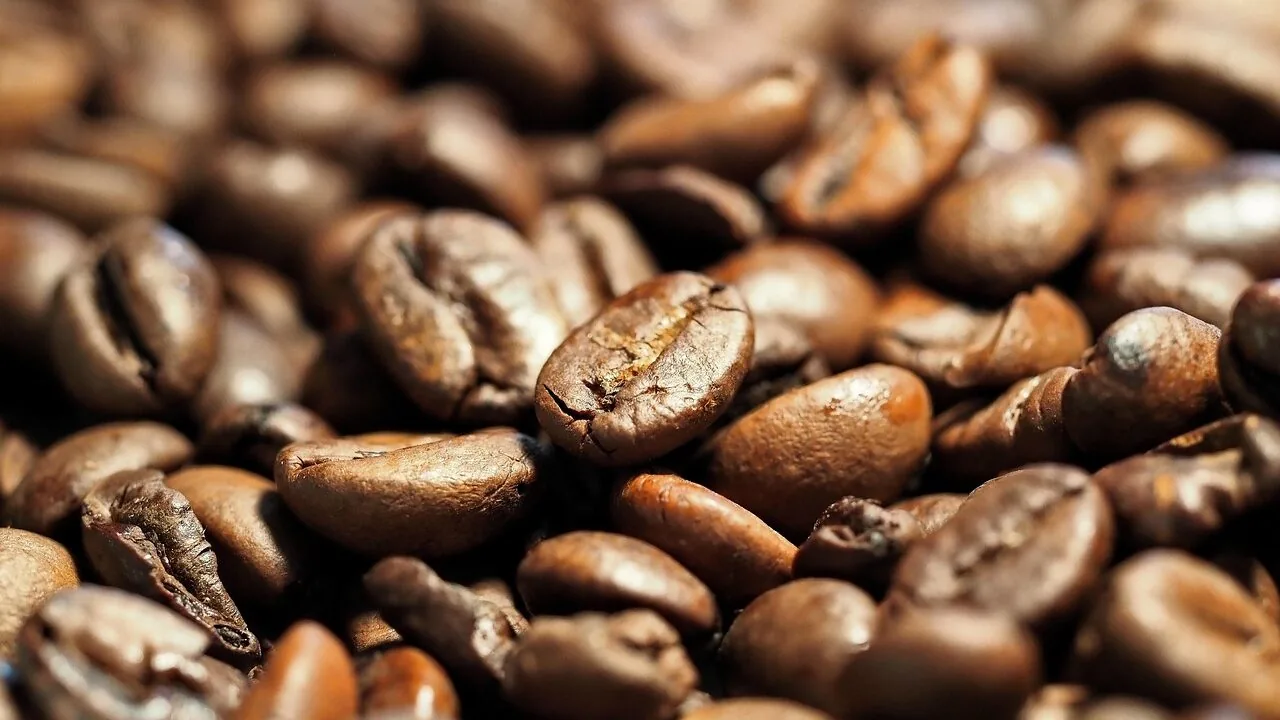 The 10 Best Coffee Makers