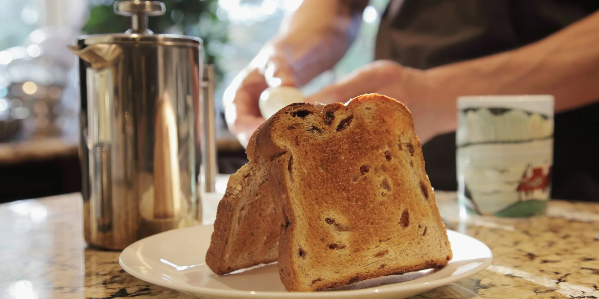 The Best Toasters for Every Budget and Kitchen Style