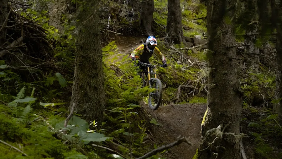 Person riding hybrid bike on forest trail with natural terrain and trees