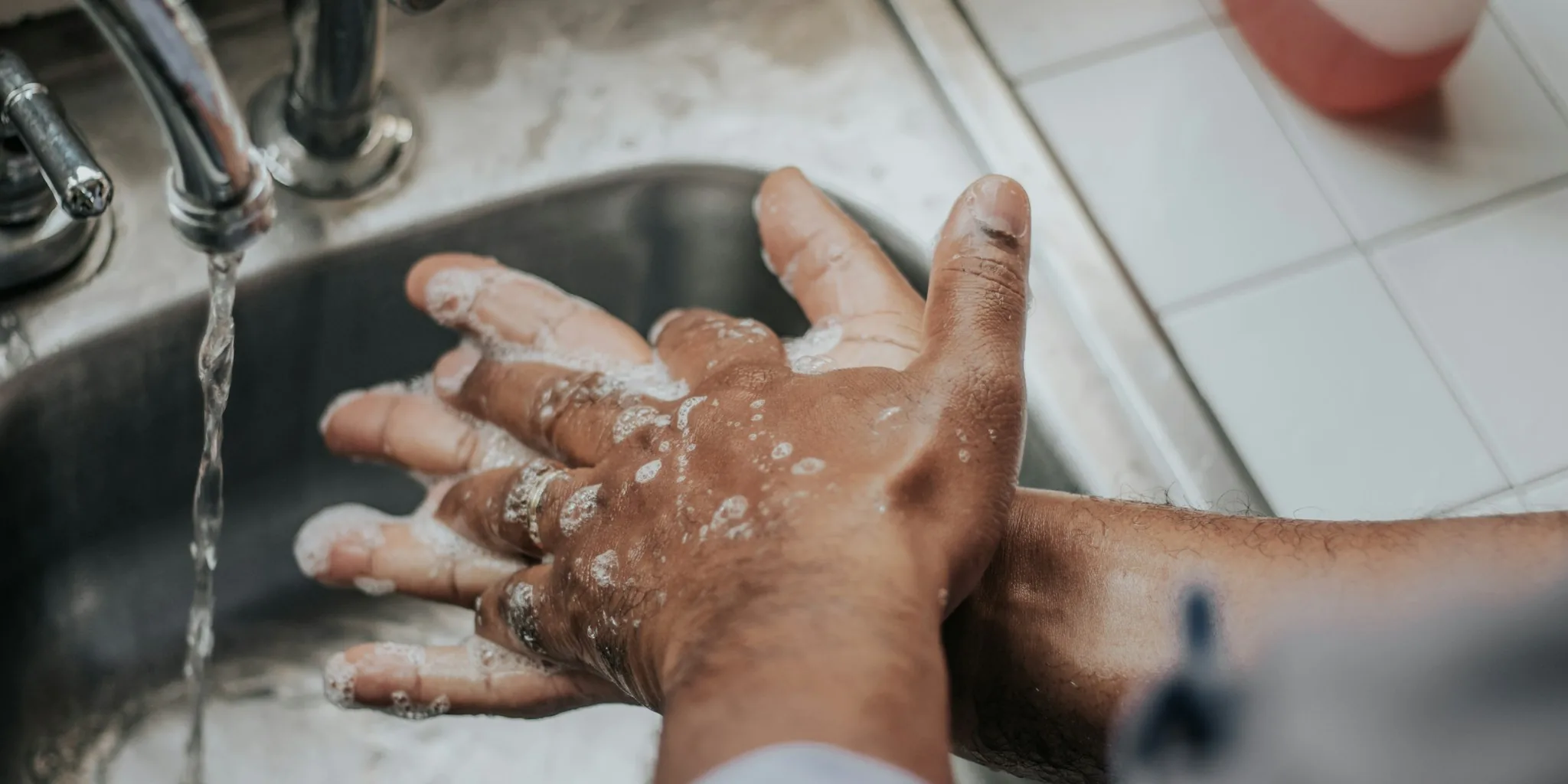 The Best Garbage Disposals for Every Kitchen and Budget