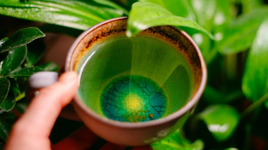 Person savoring green tea with contemplative expression, exploring flavor nuances