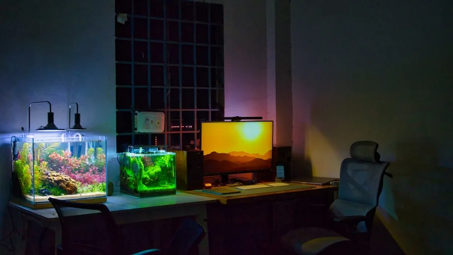 The %product_count% Best Fish Tanks 5 Person setting up a new aquarium with filter and heater accessories in a home living space