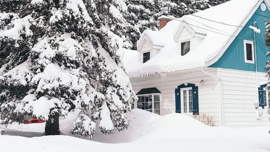 The 6 Best Snow Shovels