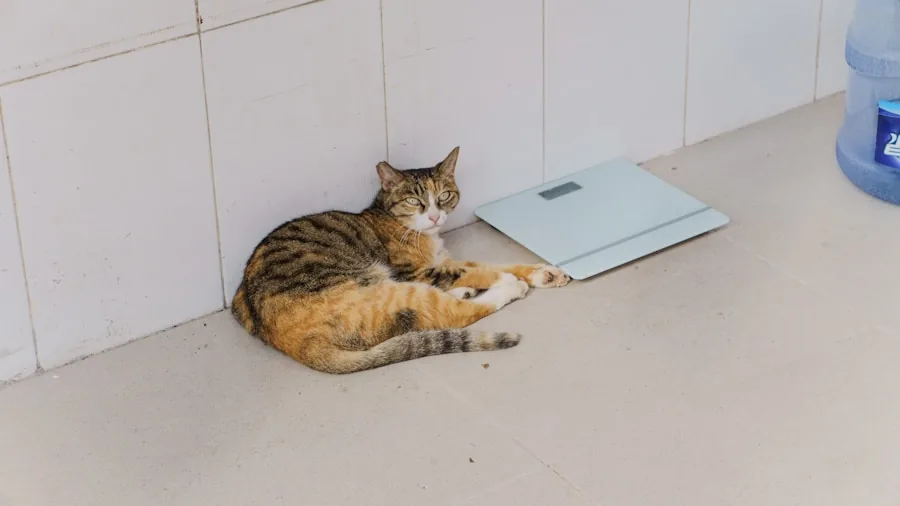 Person standing on bathroom scale in modern bathroom, checking weight during morning routine