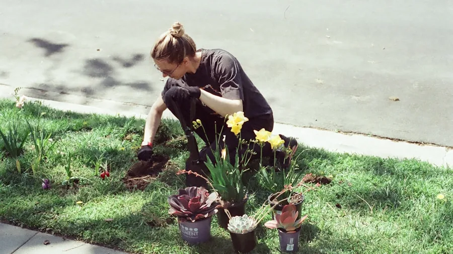 New Fall Bulb Varieties Hit Shelves in August: What Shoppers Should Know 3 person storing and organizing garden bulbs