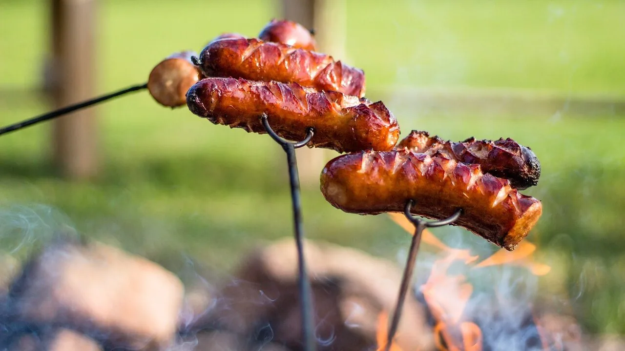 The Best Pellet Smokers for Backyard BBQ in 2026