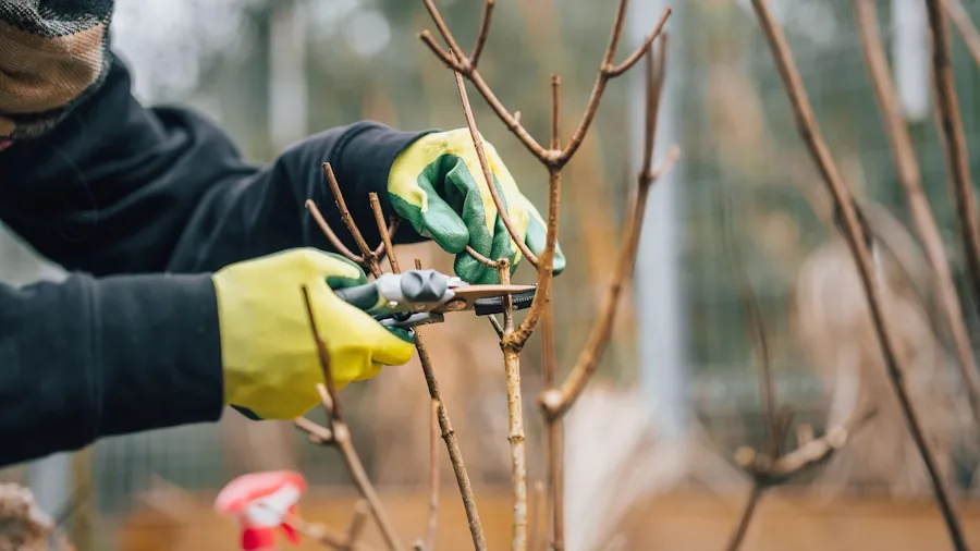 The %product_count% Best Chainsaws 3 Person using chainsaw to trim branches from tree in garden setting