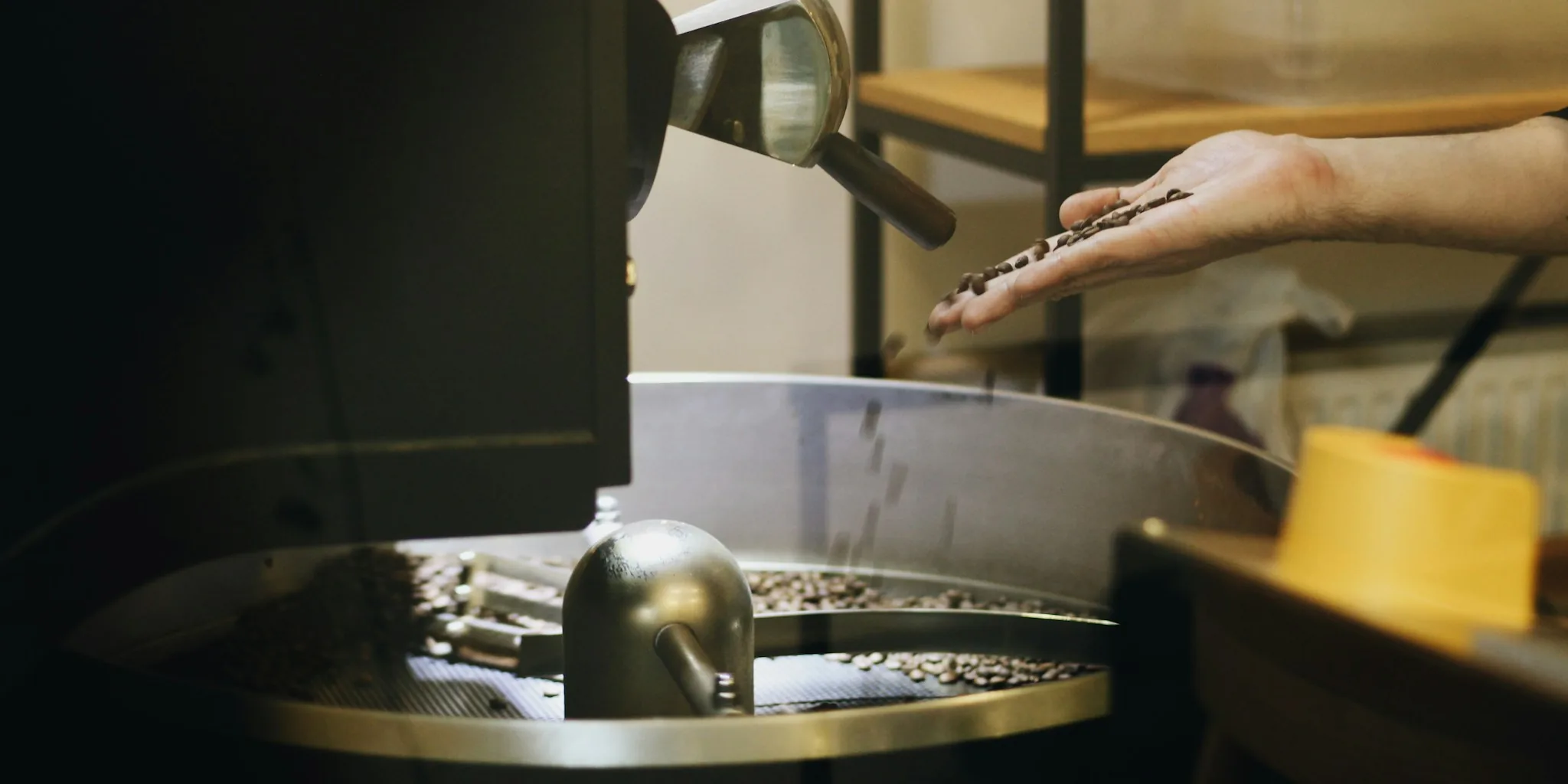 The 8 Best Electric Burr Coffee Grinders of 2026