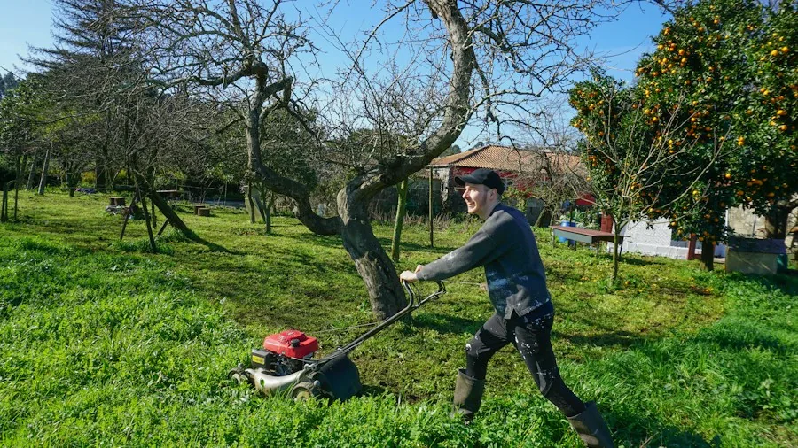 person using lawn mower mulching leaves
