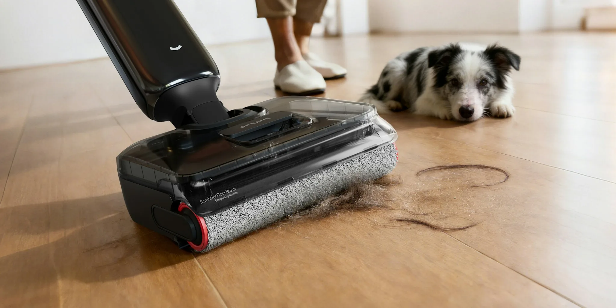 The 14 Best Vacuums for Pet Hair