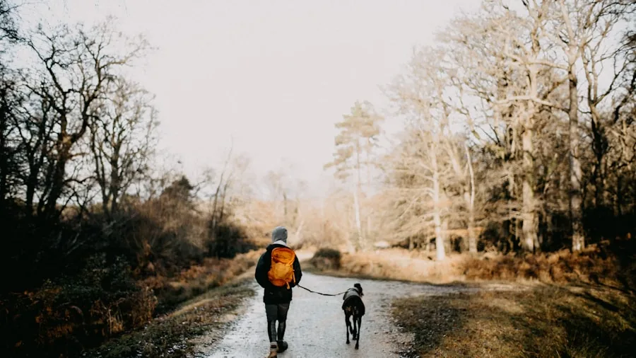 The %product_count% Best Dog Strollers 3 Person walking dog on a natural outdoor trail with varied terrain and grass