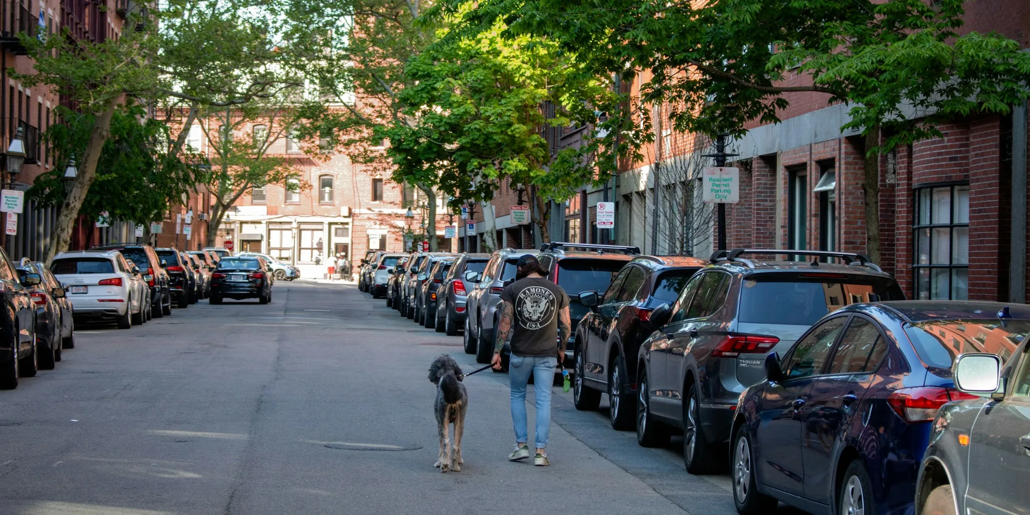 Person walking dog on leash in park wearing collar