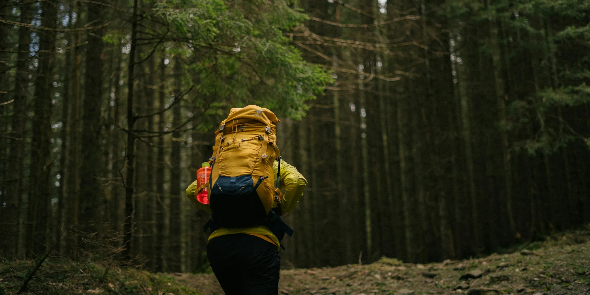 Person wearing rain jacket hiking through misty forest trail in wet weather conditions