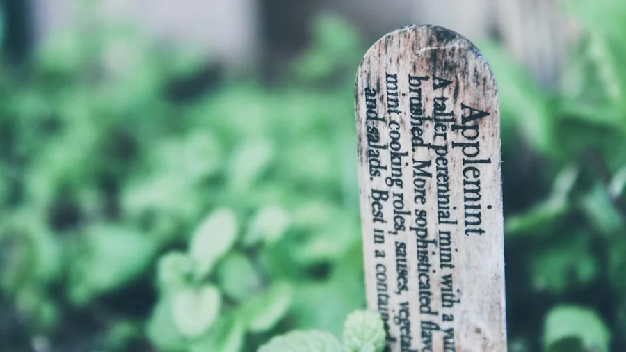 Plant Propagation Legal Trouble What Buyers Should Know Before Taking Cuttings 3 plant patent tag close-up