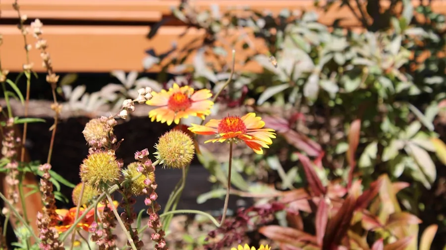 pollinator butterfly bee native wildflower garden