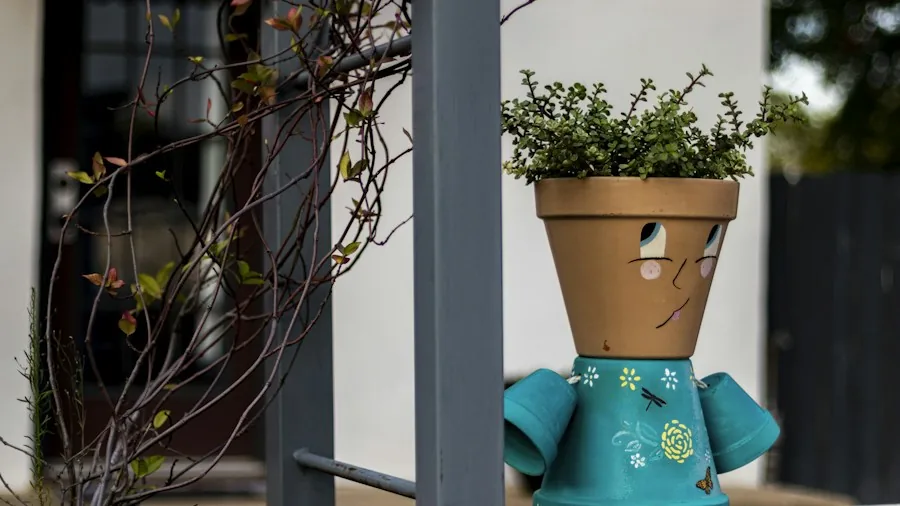 potted plant frost protection