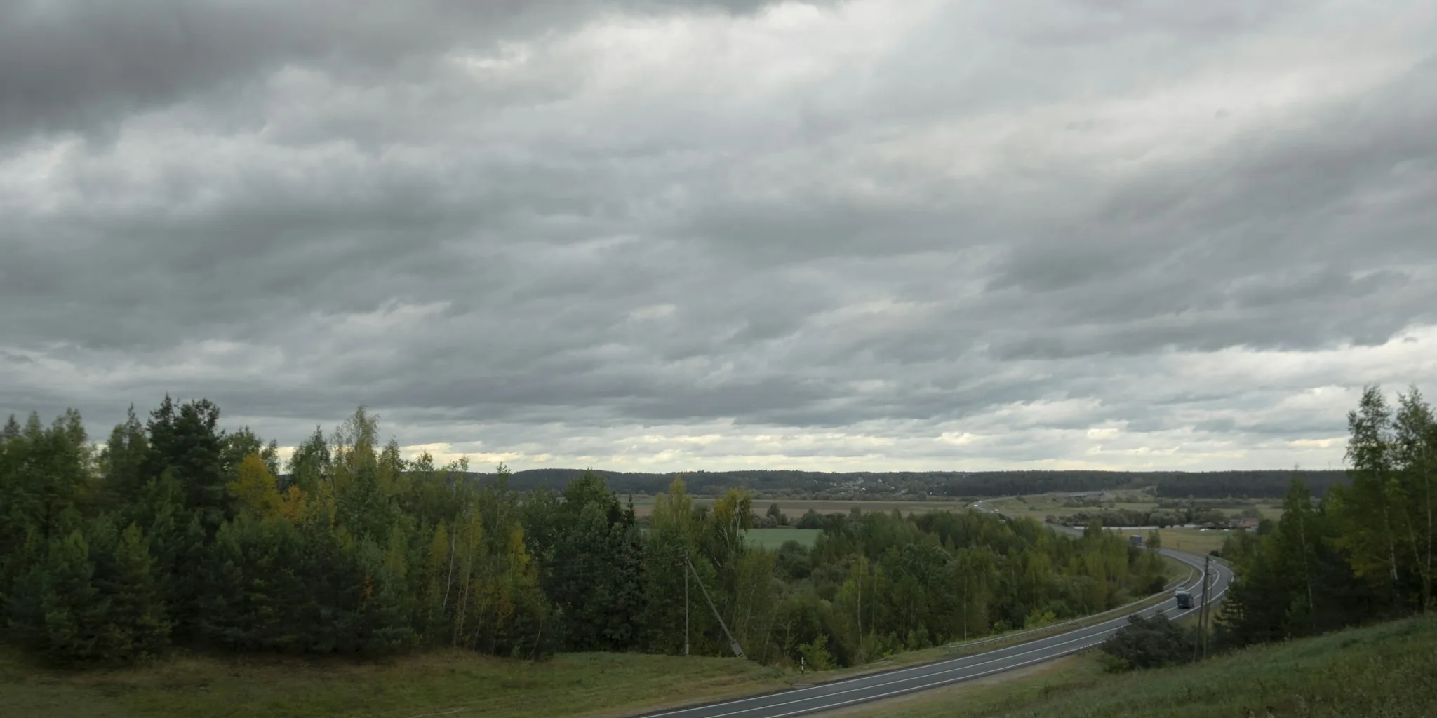 Five Prairie Plants for Stunning Fall Gardens