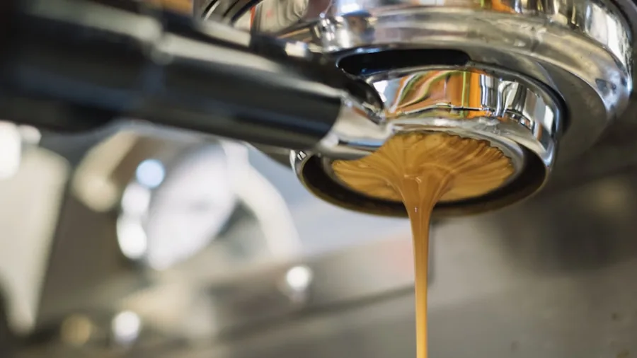 Virginia Beach Coffee Roaster Opens First Full Kitchen Cafe What Shoppers Need to Know 2 professional espresso machine close up