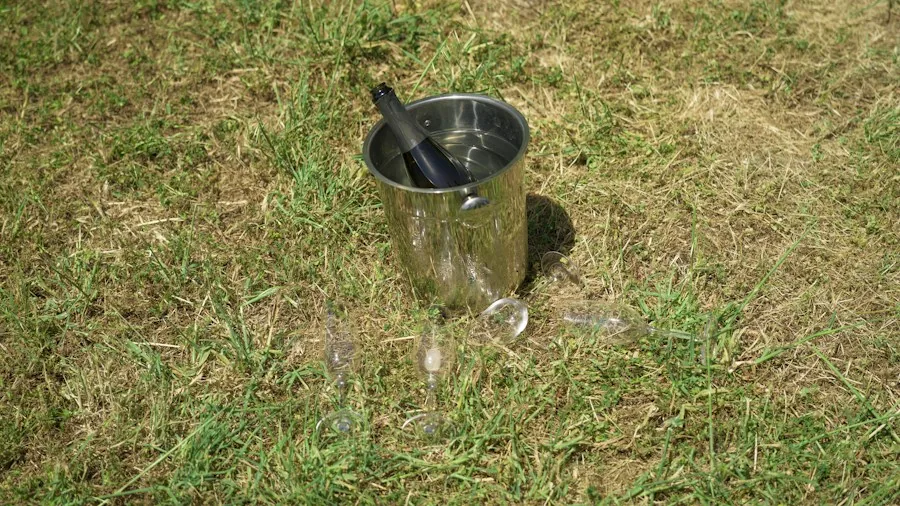 rain gauge measuring rainfall