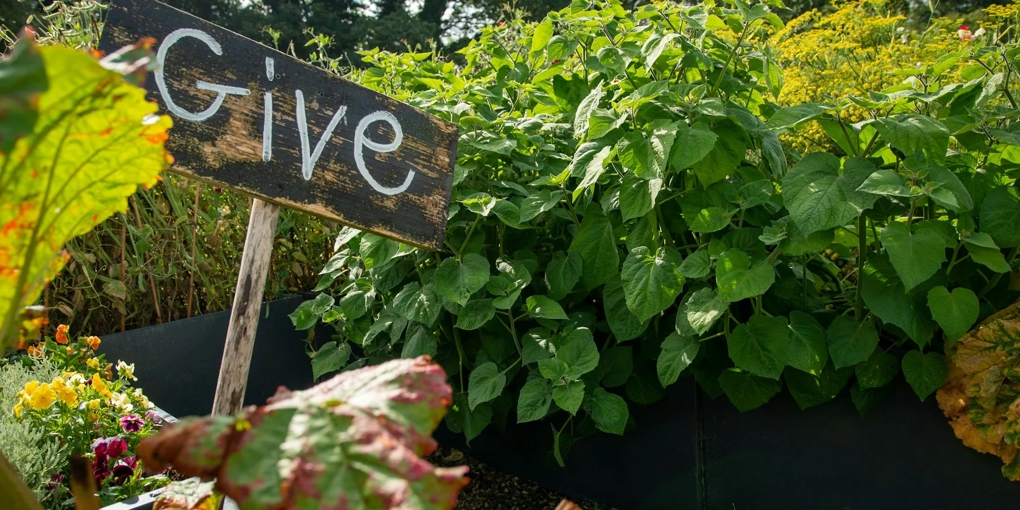 Gwyneth Paltrow's Garden Trend: What Buyers Should Know