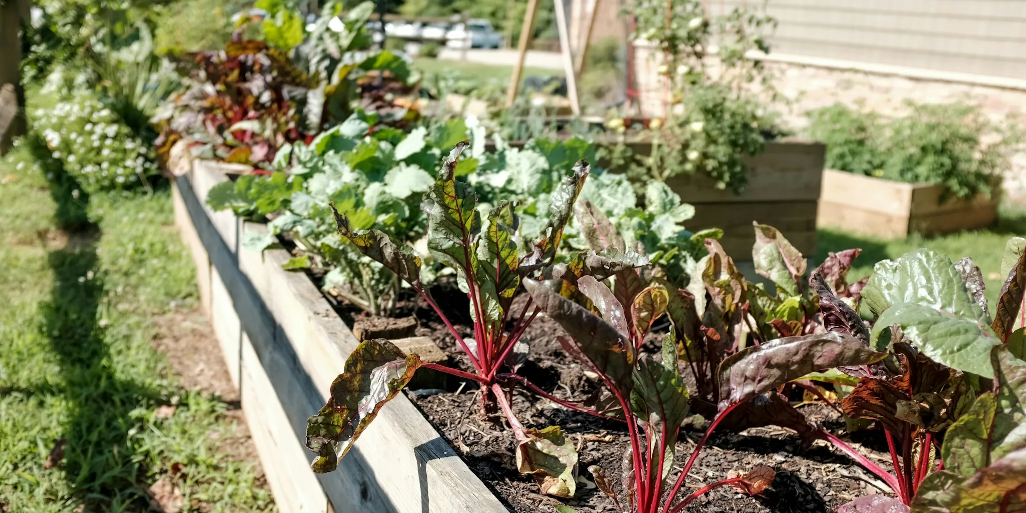 Affordable Celebrity Garden Design for Every Homeowner