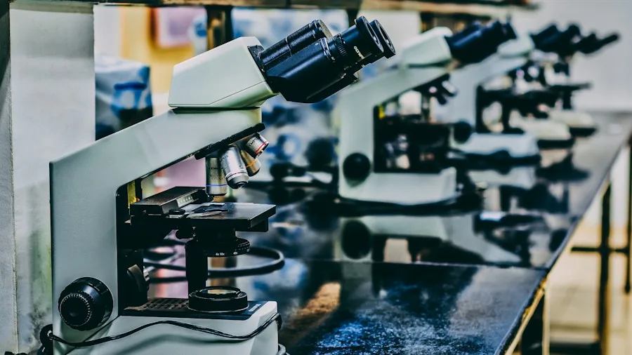 research lab scientist microscope
