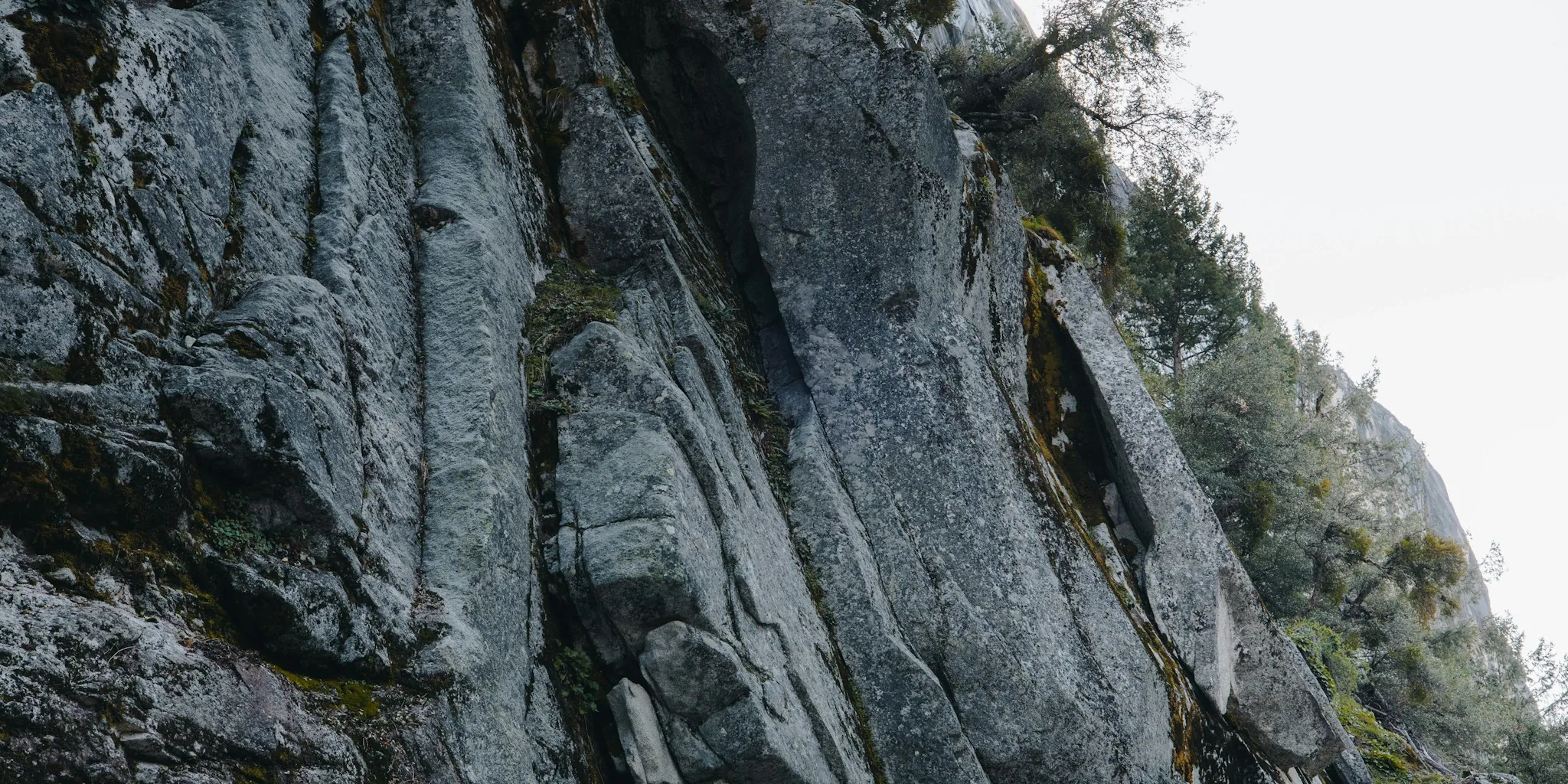 The 5 Best Climbing Harnesses