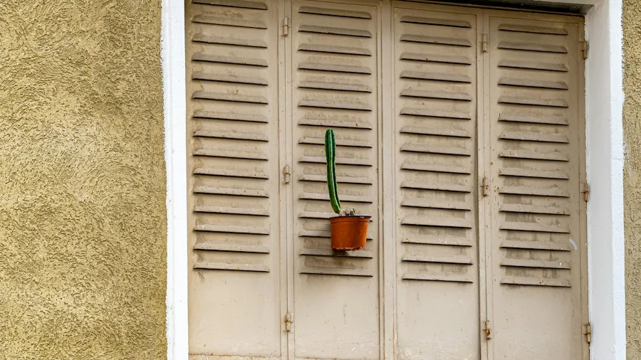 rotating potted plant window placement