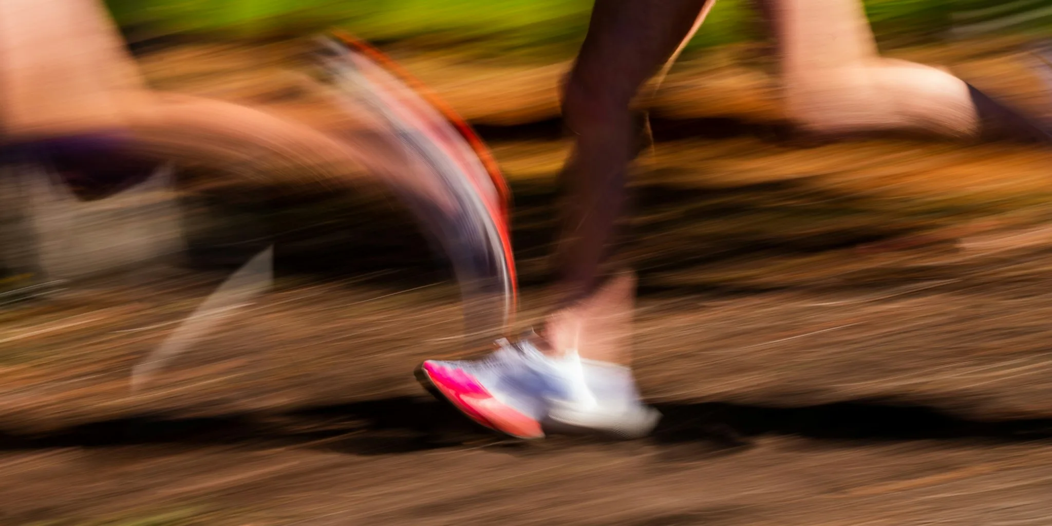 Expert Guide to Cushioned Running Shoes