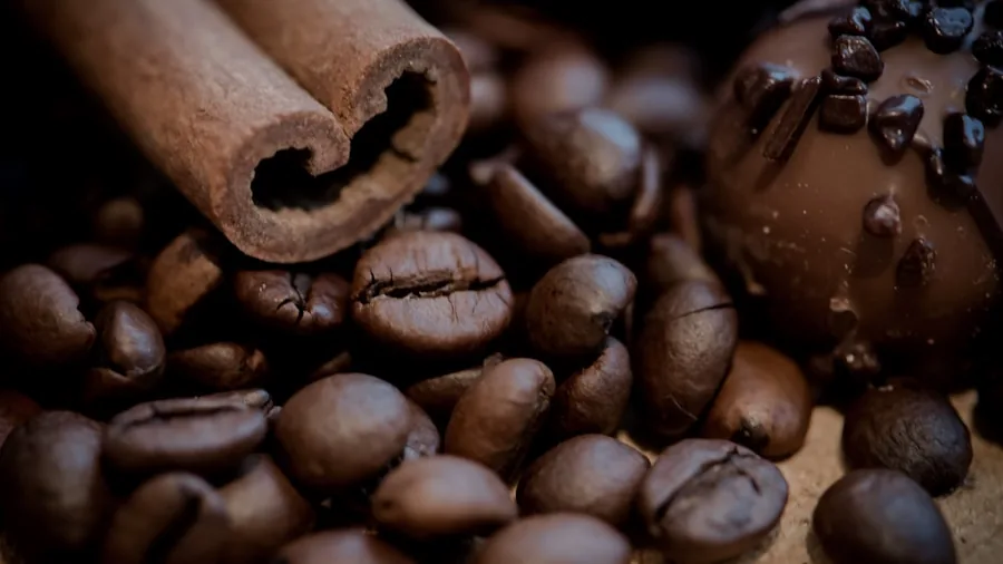 seasonal coffee beans cinnamon