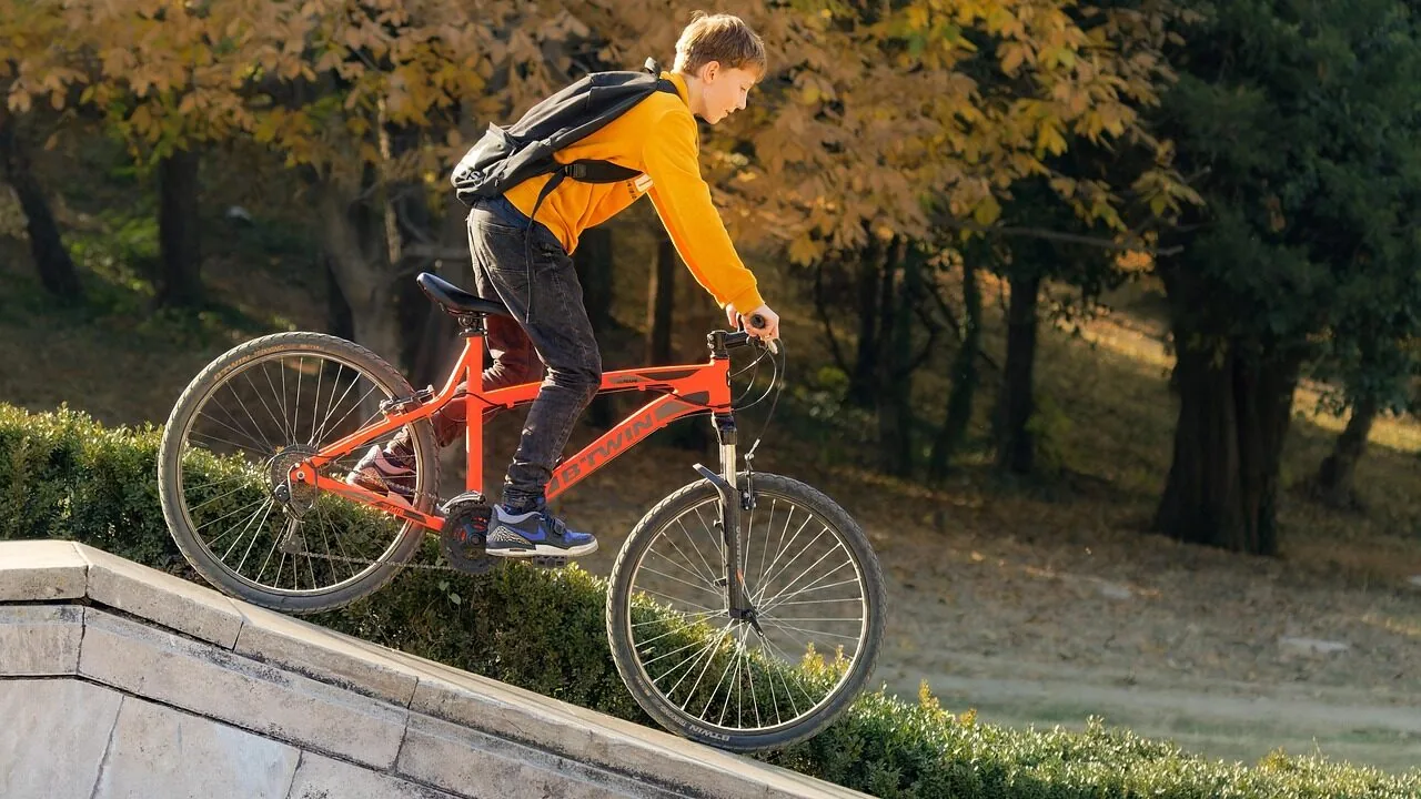 The 5 Best Skateboard Wheels