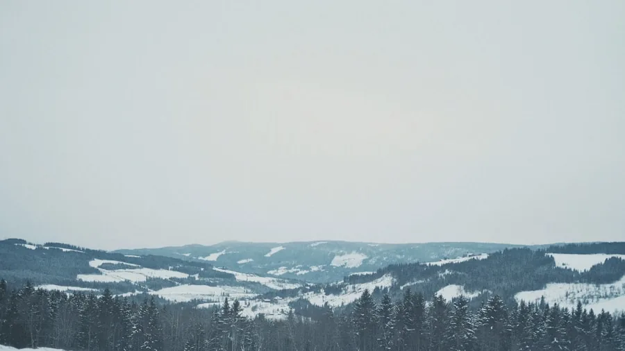 Skier on snowy slope looking at mountain vista during daytime