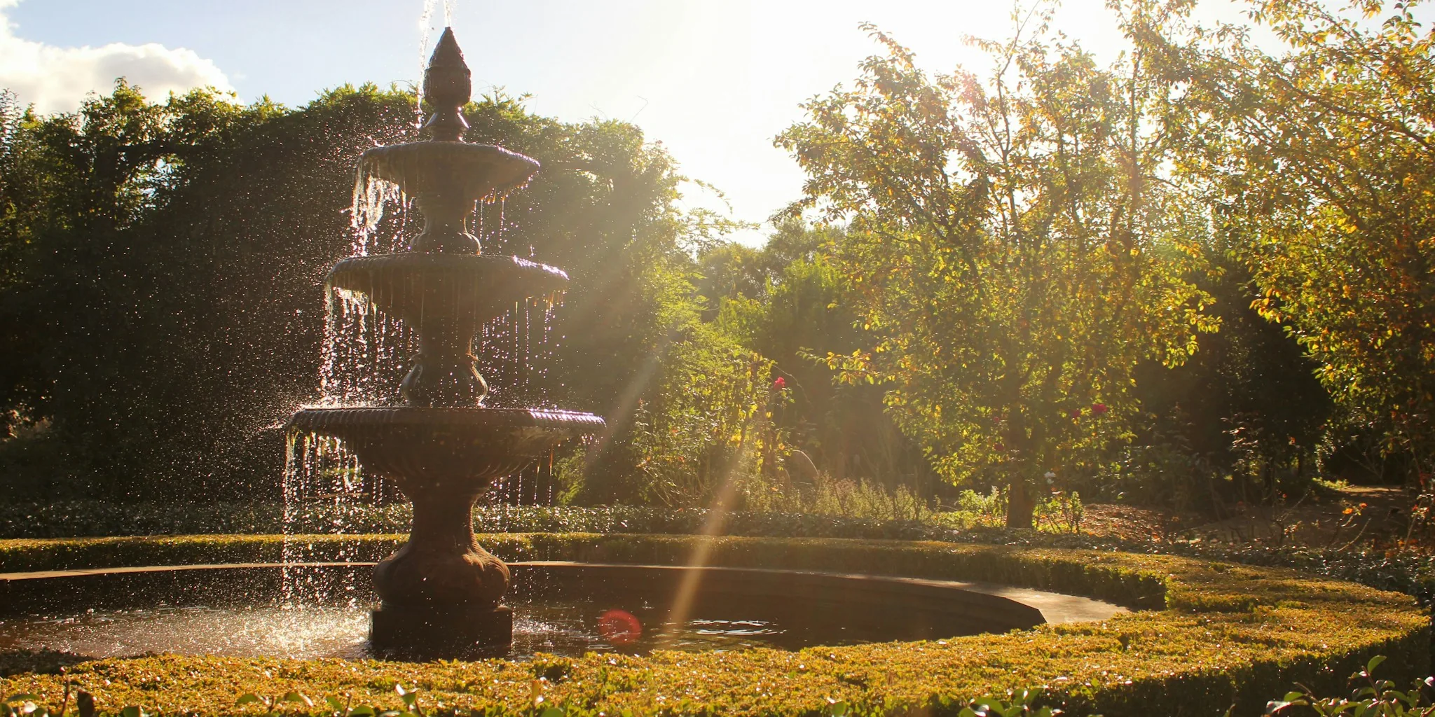 Build Your Own Solar Water Planter for Less