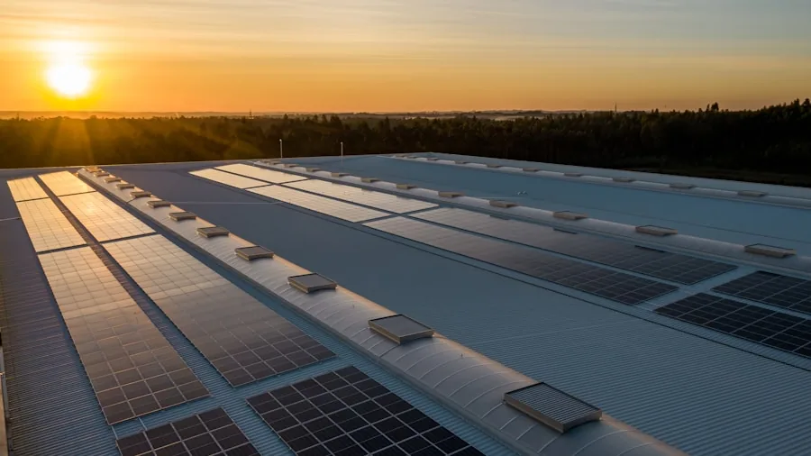 solar panels warehouse renewable energy