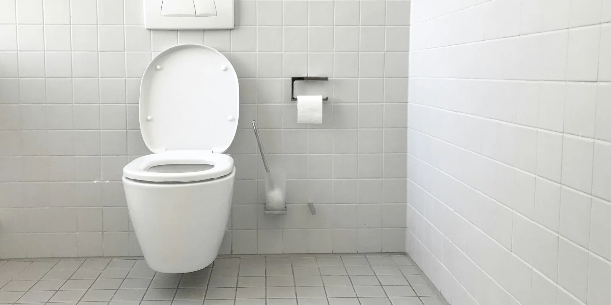 The 13 Best Toilet Brushes