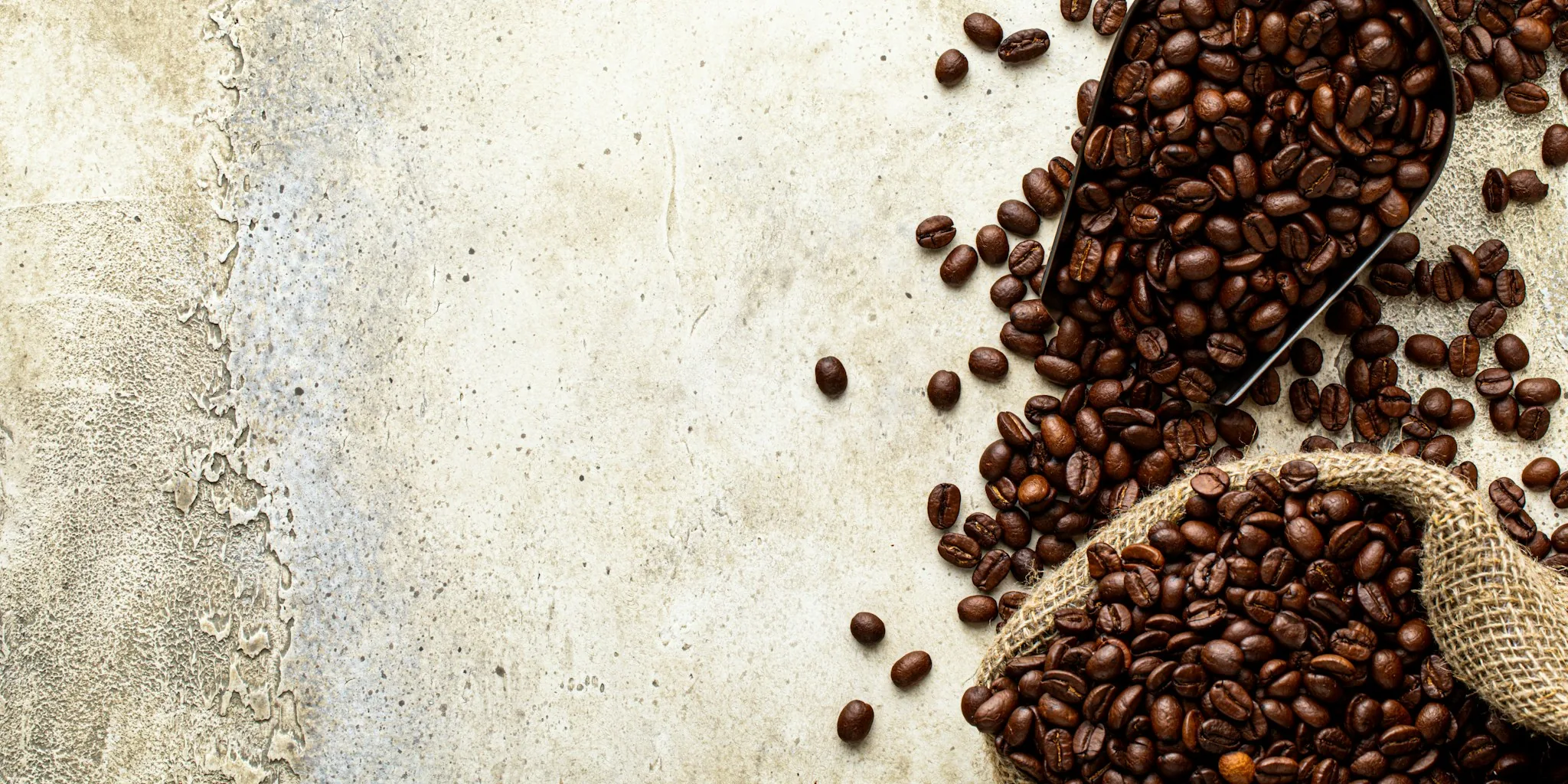 Congo Coffee Auction Opens Rare Access to Specialty Microlots
