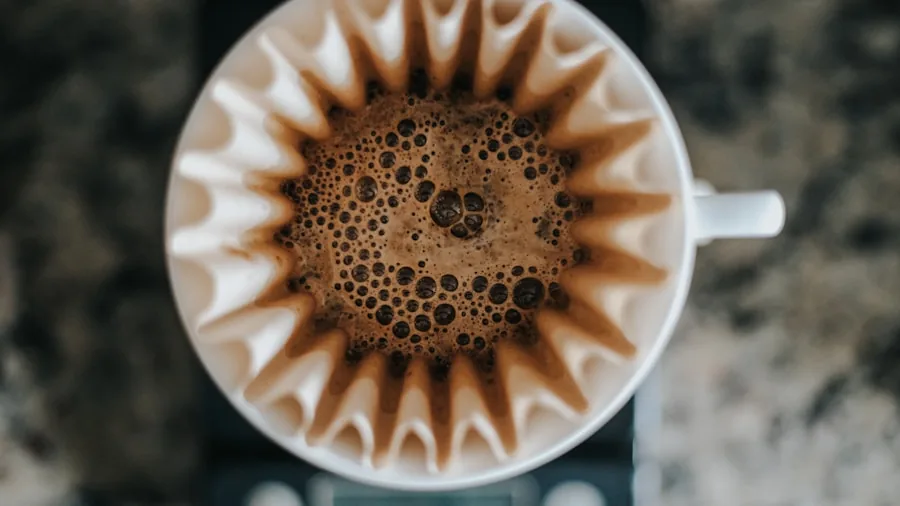 specialty coffee brewing equipment