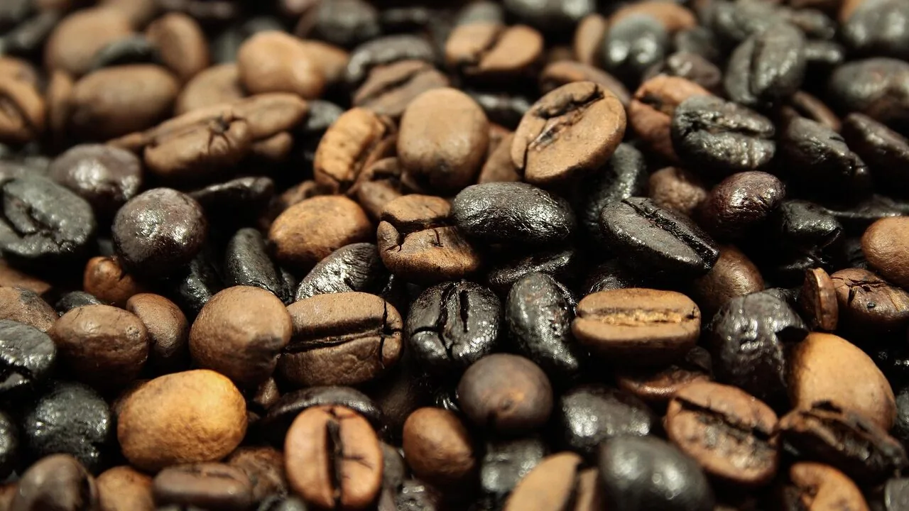 Seven Roasters Compete for Industry's Top Award
