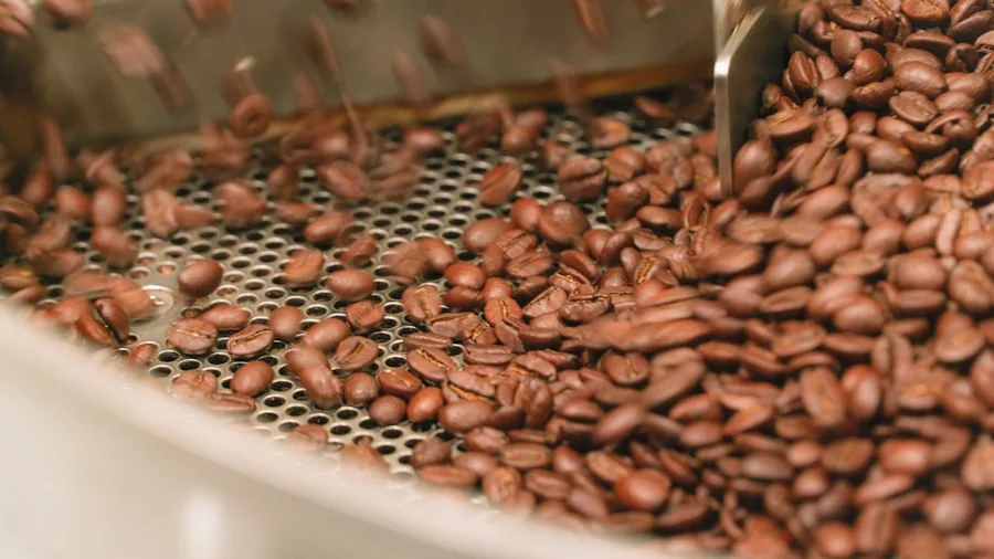 Shanghai Coffee Market Shift to Quality What It Means for US Coffee Shoppers 3 specialty coffee roasting facility
