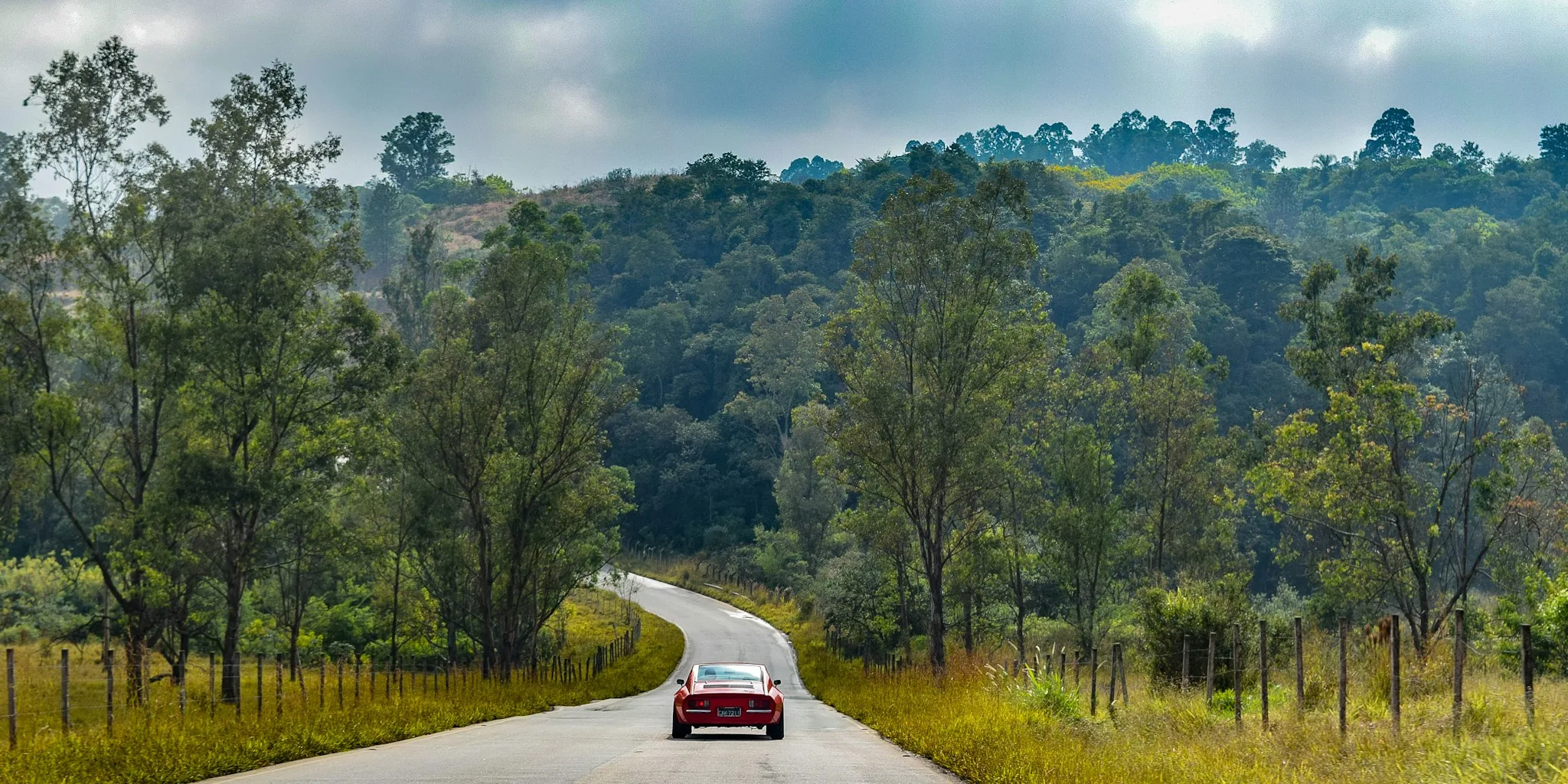 Saleen S1 Street Now Open for Orders: What Car Shoppers Need to Know
