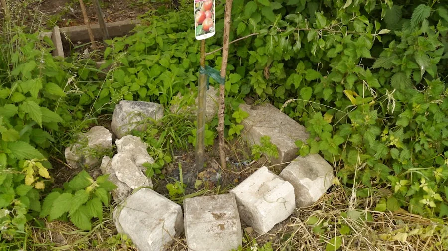 stacked cinder blocks raised garden bed