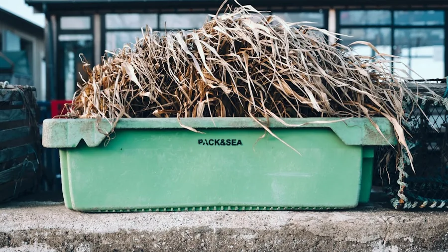 sustainable agricultural waste repurposing