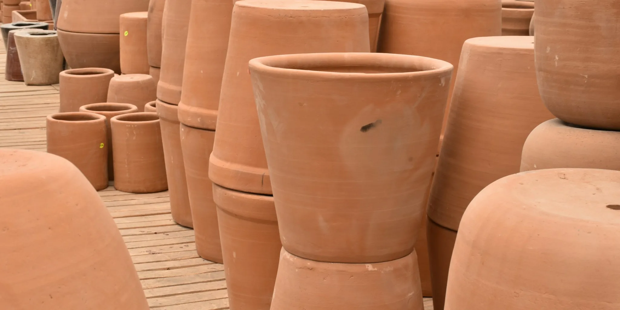 Terracotta Pots for Plants: Which Ones Thrive and Which Ones Fail