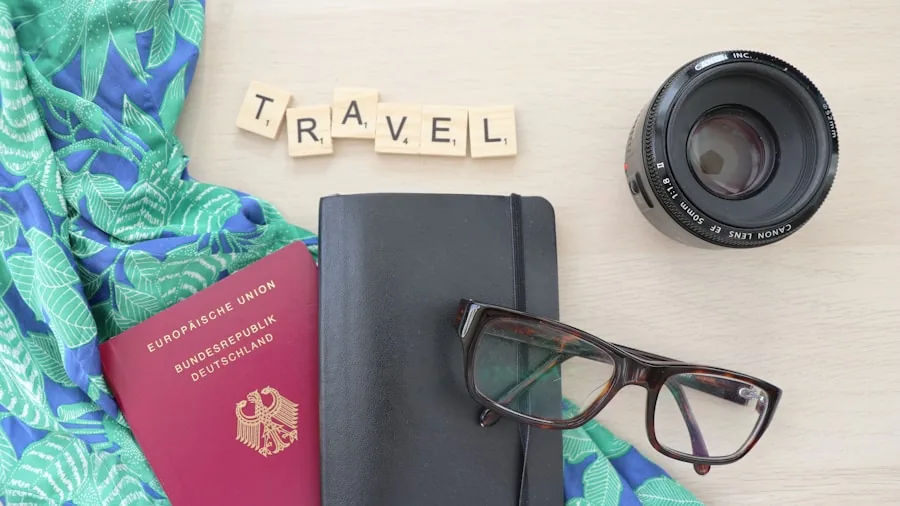 traveler using translation feature