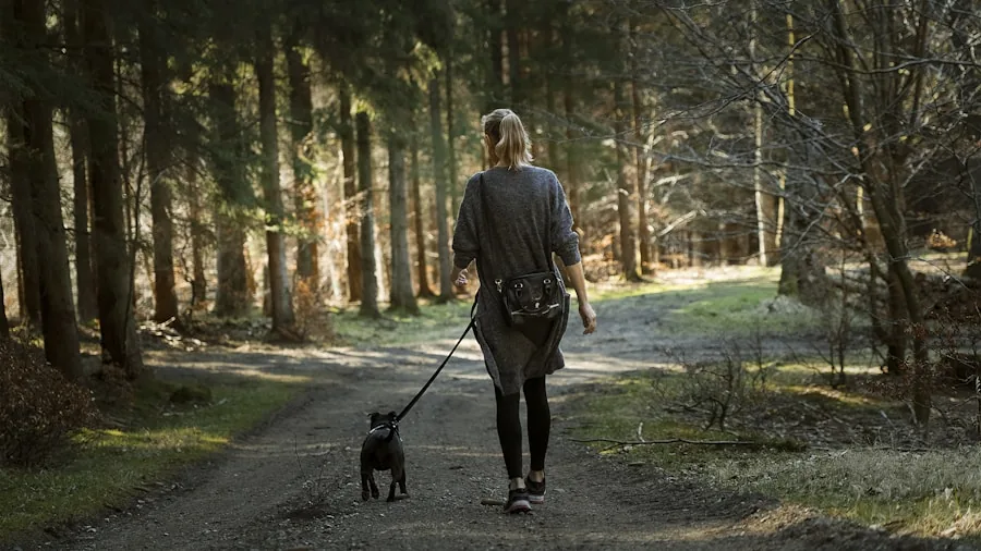 Viral Hiking Bear Encounter Results in $25,000 Fine: What Outdoor Enthusiasts Need to Know 2 unleashed dog hiking nature