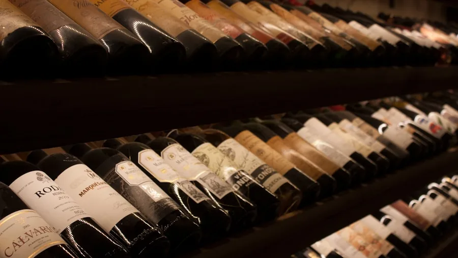 Various wine bottles of different shapes and sizes arranged together, showing Bordeaux, Burgundy, and Champagne bottle styles