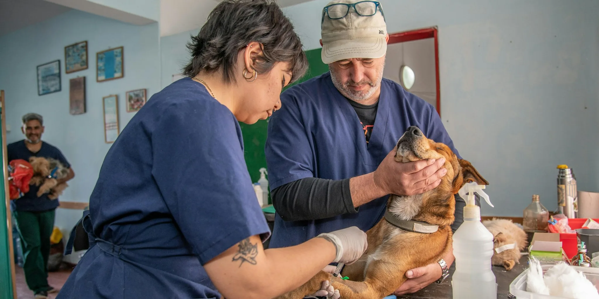 What Happened When a Restaurant Became a Pet Emergency Clinic