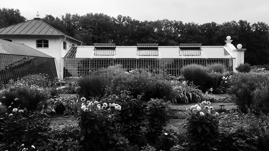 Budget Greenhouses Before Frost Hits: What Buyers Should Know 3 walk-in high tunnel greenhouse yard