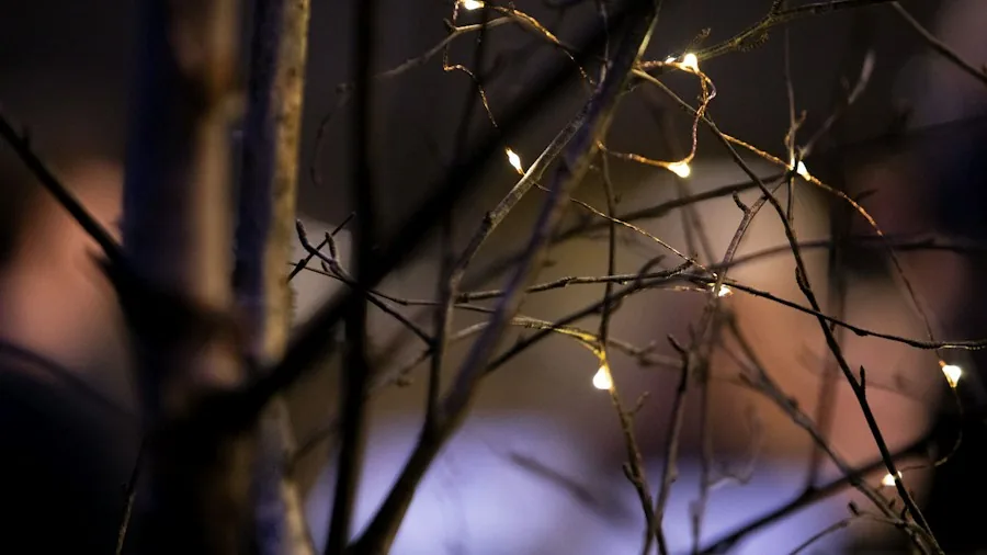 5 Tips to Create a DIY Illuminated Branch Garden Display 3 warm white fairy lights on branches